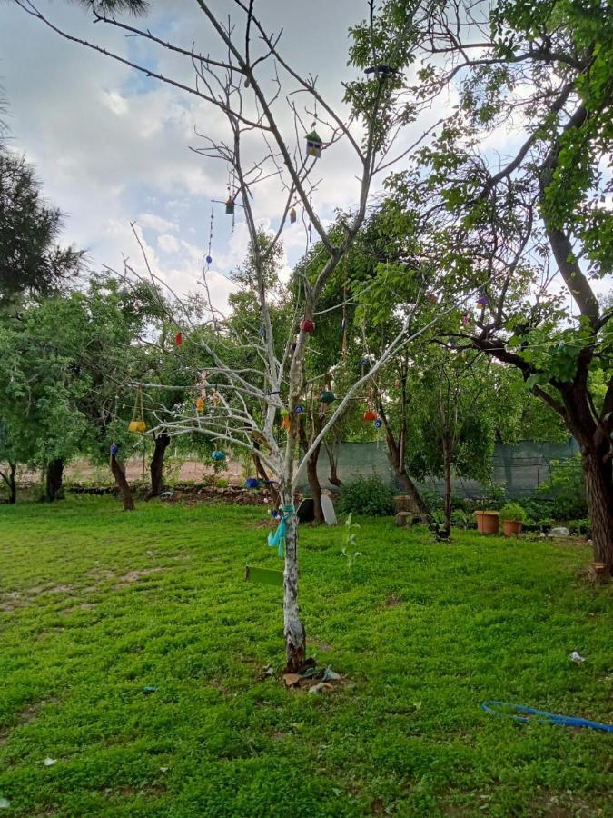 Salda Goelue Koca Kapi Konaklama Yesilova (Burdur) Exterior foto