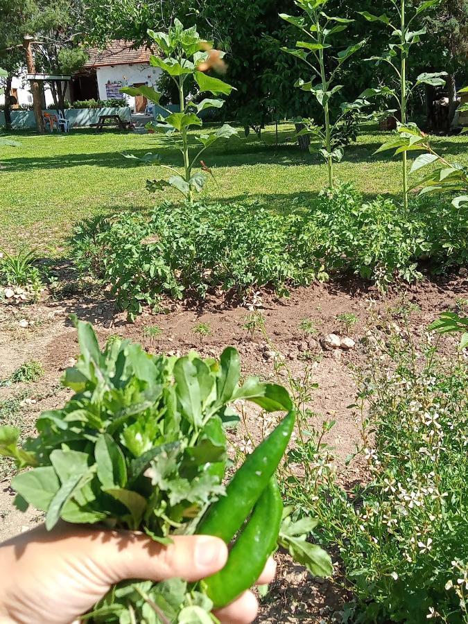 Salda Goelue Koca Kapi Konaklama Yesilova (Burdur) Exterior foto